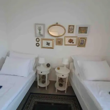 Dalmatian Traditional House Md * Islam Latinski